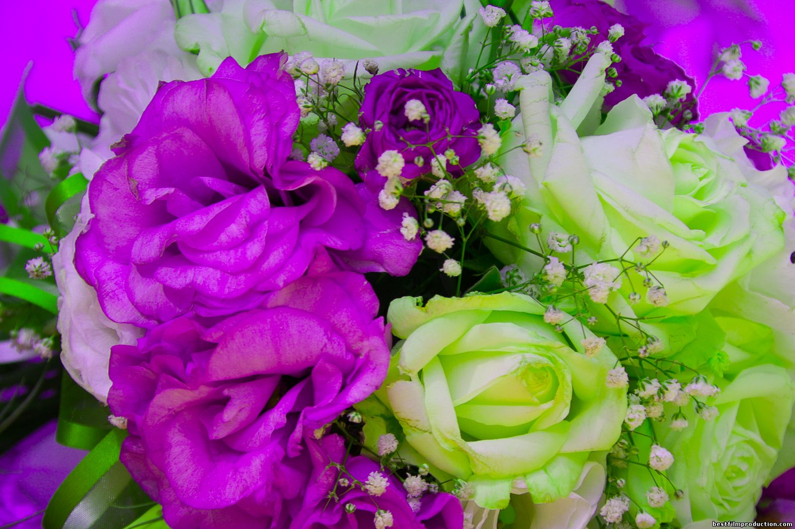 IMD_1276 - копия